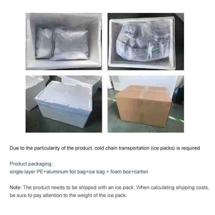 Lactobacillus Bulgaricus