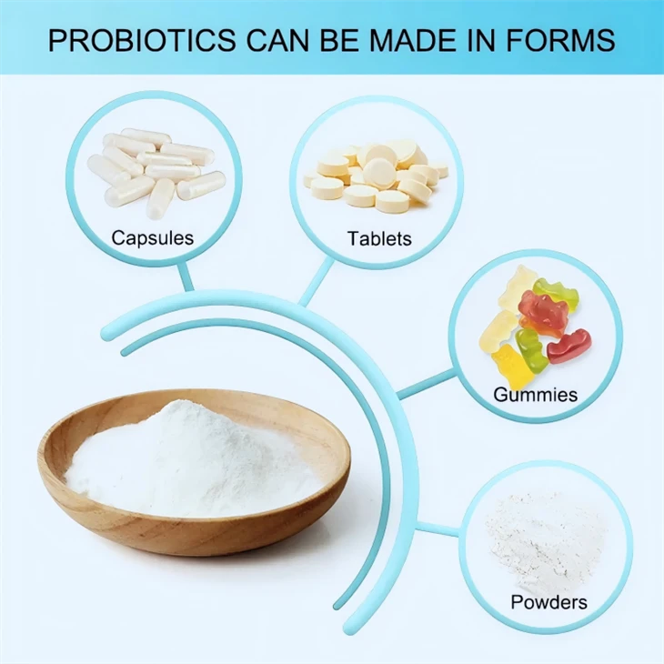 Lactobacillus Bulgaricus