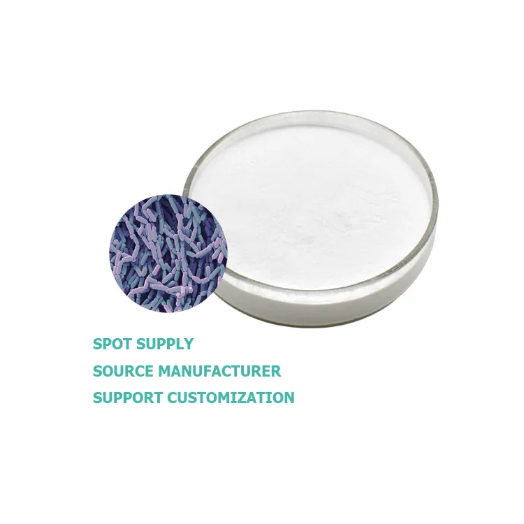 Лацтобациллус Рхамносус